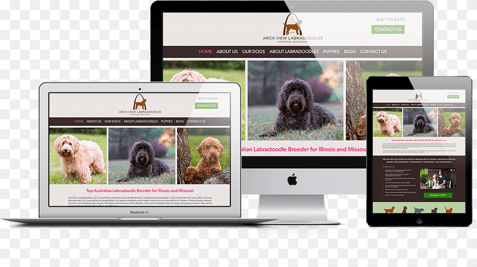 Web Design, Animal, Canine, Dog, Mammal Free Png