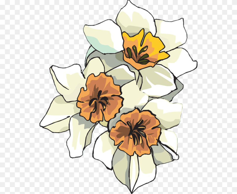 Web Design Development Clip Art Flowers And Cards, Daffodil, Flower, Plant, Rose Free Png
