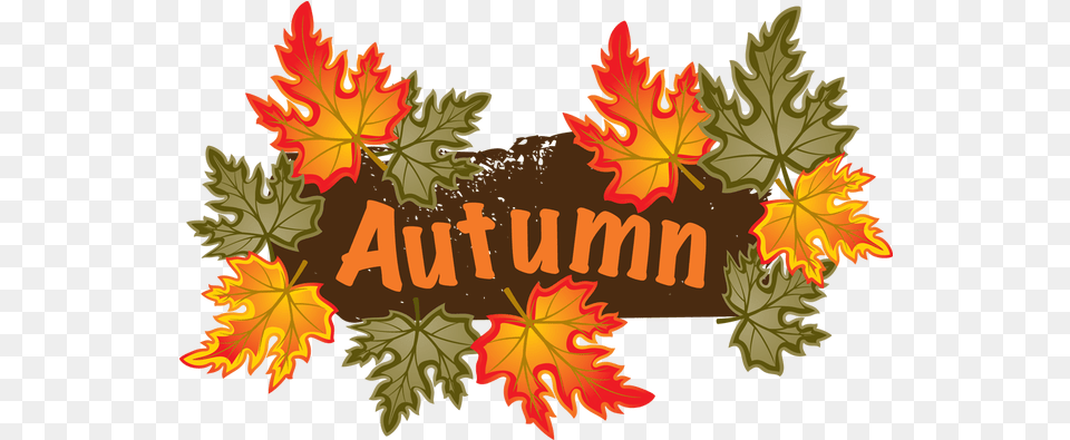 Web Development Fall Clip Art Autumn Leaves Crafts Clip Art Autumn, Leaf, Plant, Tree, Maple Free Png