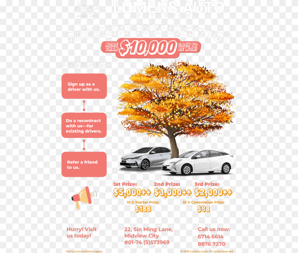 Web Executive Car, Advertisement, Plant, Poster, Tree Free Png