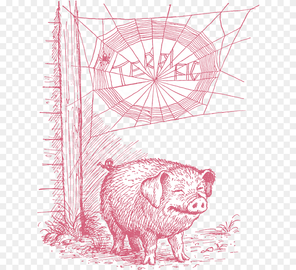 Web Illustrations, Animal, Mammal, Pig, Hog Png Image