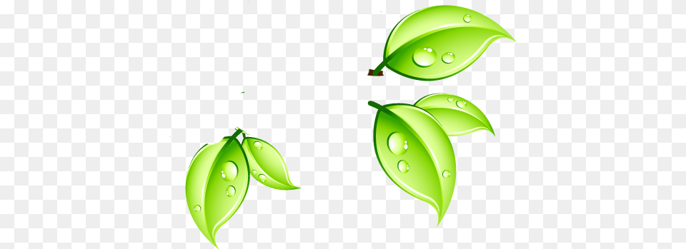 Web Page, Green, Leaf, Plant Png Image