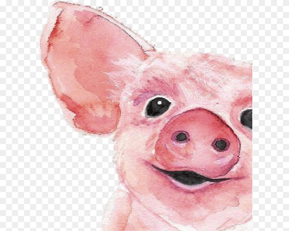 Web Pig Painting, Animal, Mammal Free Png