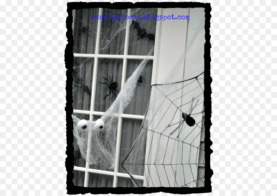 Web Window, Animal, Invertebrate, Spider Free Transparent Png