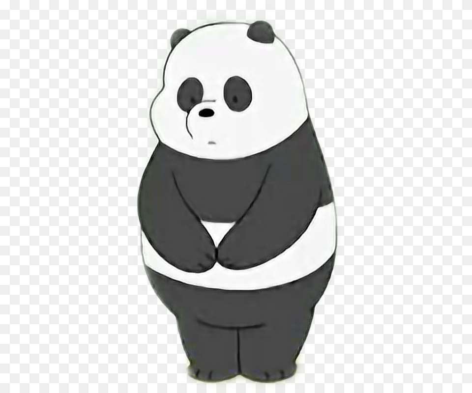 Webarebears Panda Cn Cartoonnetwork Pfp Cute Panda De Cartoon Network, Animal, Wildlife, Bear, Mammal Png Image