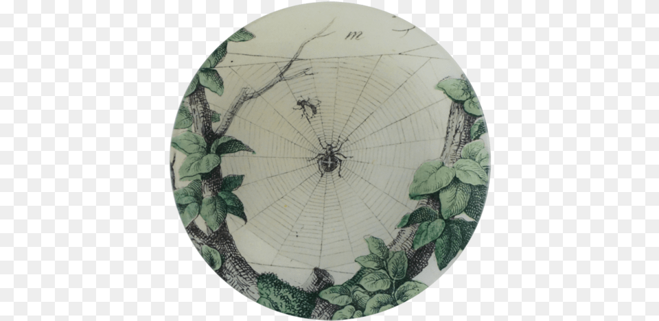Webbed Leafy Branch Spider Web, Art, Porcelain, Pottery, Food Png