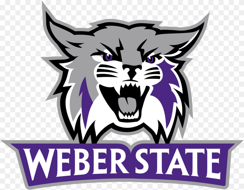 Weber State University Mascot, Logo, Symbol, Emblem, Baby Free Png Download