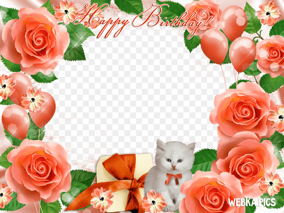 Webka Photo Frames Online App For Happy Birthday Frame File, Rose, Plant, Mail, Greeting Card Free Png
