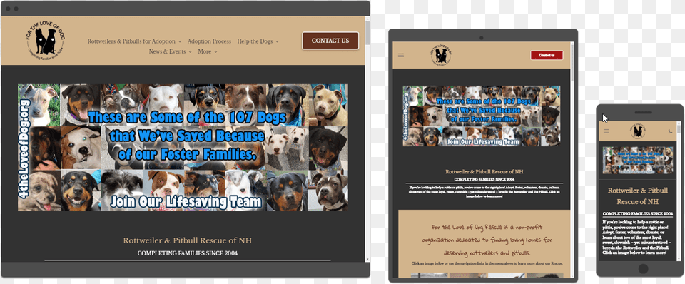 Website, Advertisement, Poster, Animal, Canine Free Transparent Png