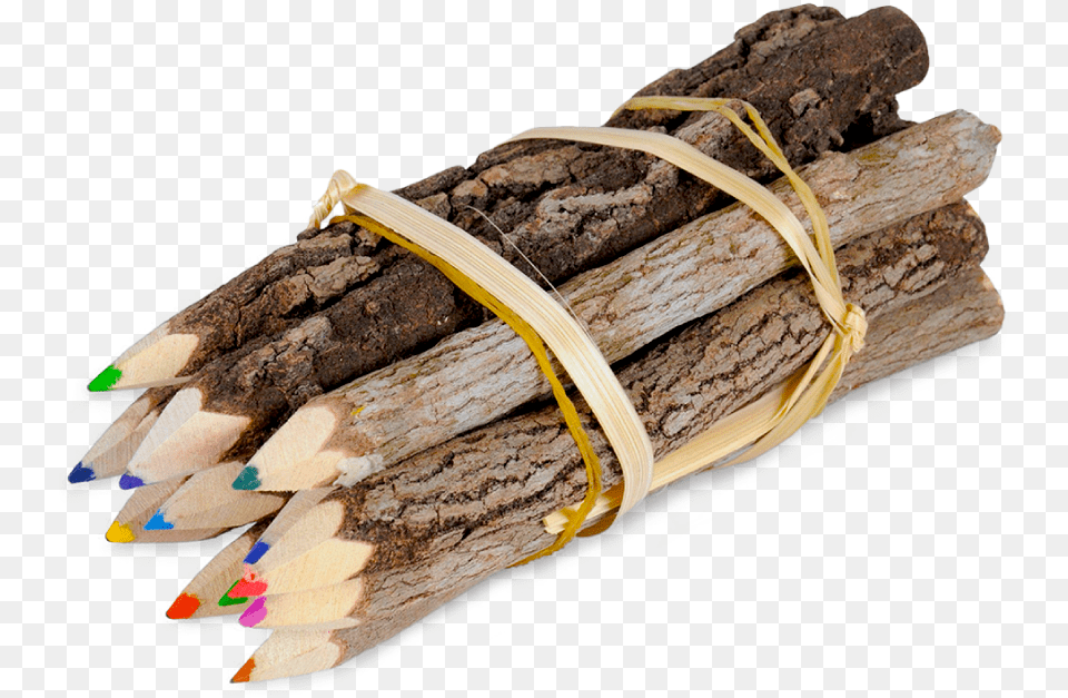 Website Category Image Children Driftwood, Wood Free Png