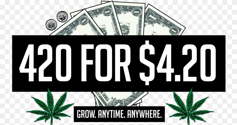 Website Graphic Four Dollars, Plant, Leaf, Scoreboard Png Image
