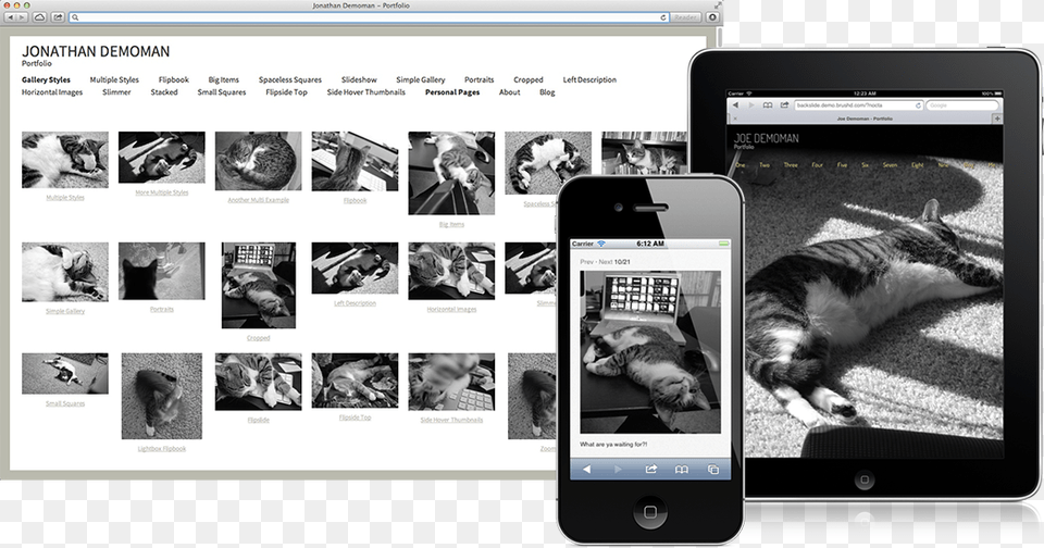 Website Video Portfolio, Phone, Mobile Phone, Electronics, Animal Png Image
