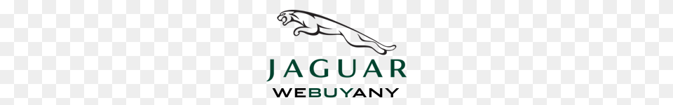 Webuyanyjaguar Instant Car Valuation Sell Your Jaguar Today, Animal, Gecko, Lizard, Reptile Png