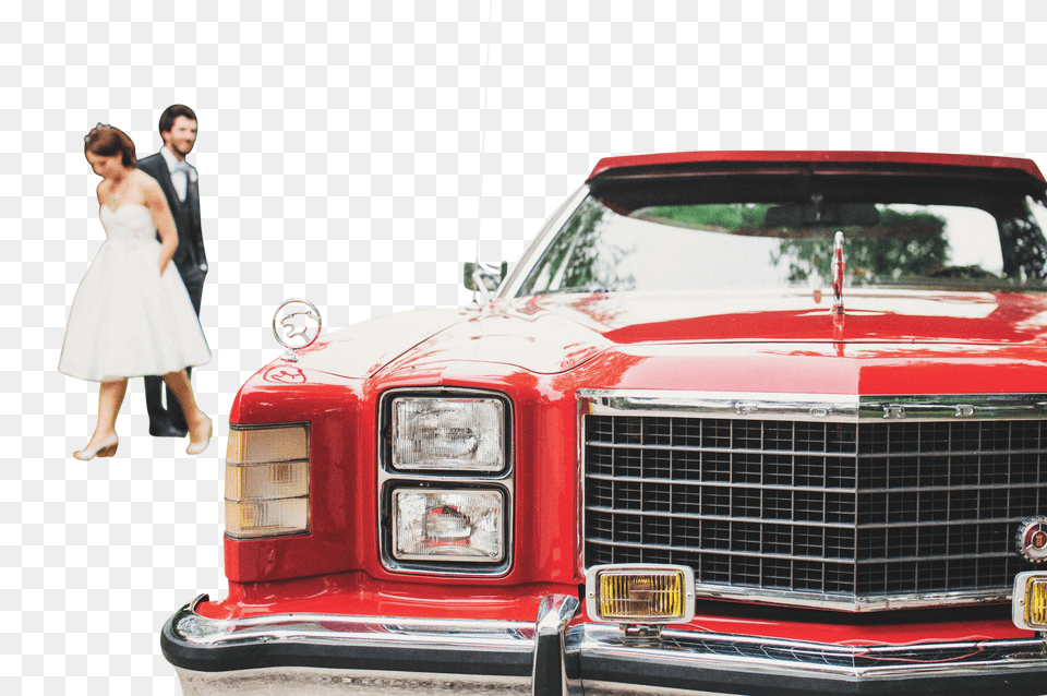 Wedding Clip, Clothing, Shirt, T-shirt Free Png Download