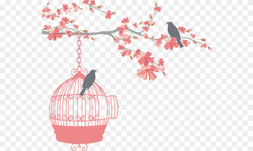 Wedding Bird Cage Image With No Background Bird Cage On Clipart, Flower, Plant, Animal, Petal Free Png Download