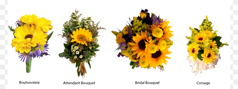 Wedding Bouquet, Flower, Flower Arrangement, Flower Bouquet, Plant Png