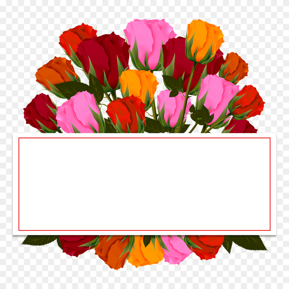 Wedding Bouquet Flowers Flower Roses, Flower Arrangement, Flower Bouquet, Plant, Rose Png