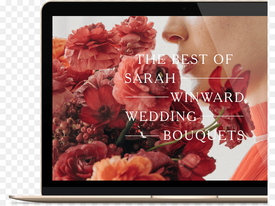Wedding Bouquets Course, Person, Face, Plant, Flower Png Image