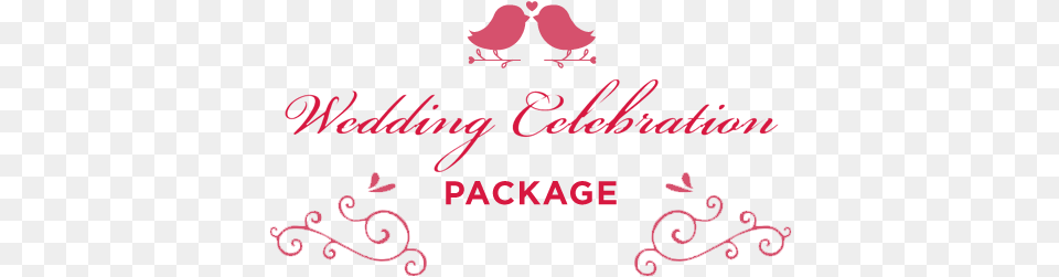 Wedding Celebration Package Fabulous, Text Free Png Download
