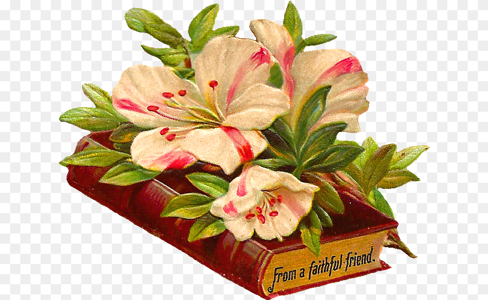 Wedding Clipart Artificial Flower, Flower Arrangement, Plant, Leaf Free Png