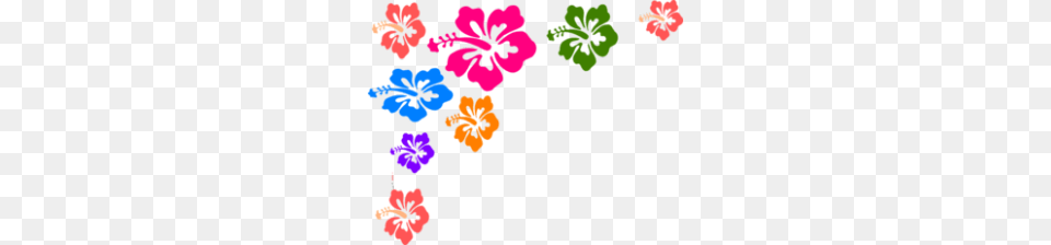 Wedding Clipart Indian Colour, Flower, Plant, Hibiscus, Person Free Transparent Png