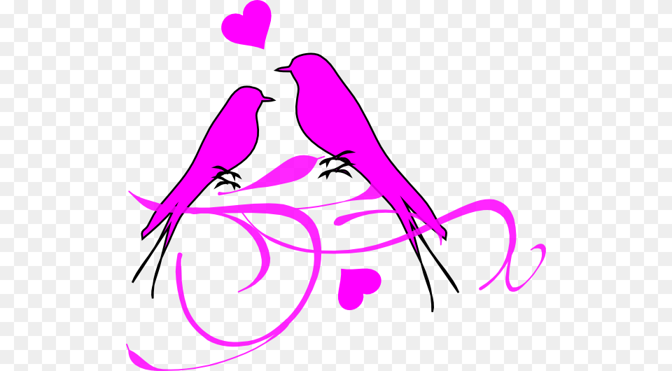 Wedding Clipart Love Bird, Purple, Animal, Person, Swallow Free Transparent Png