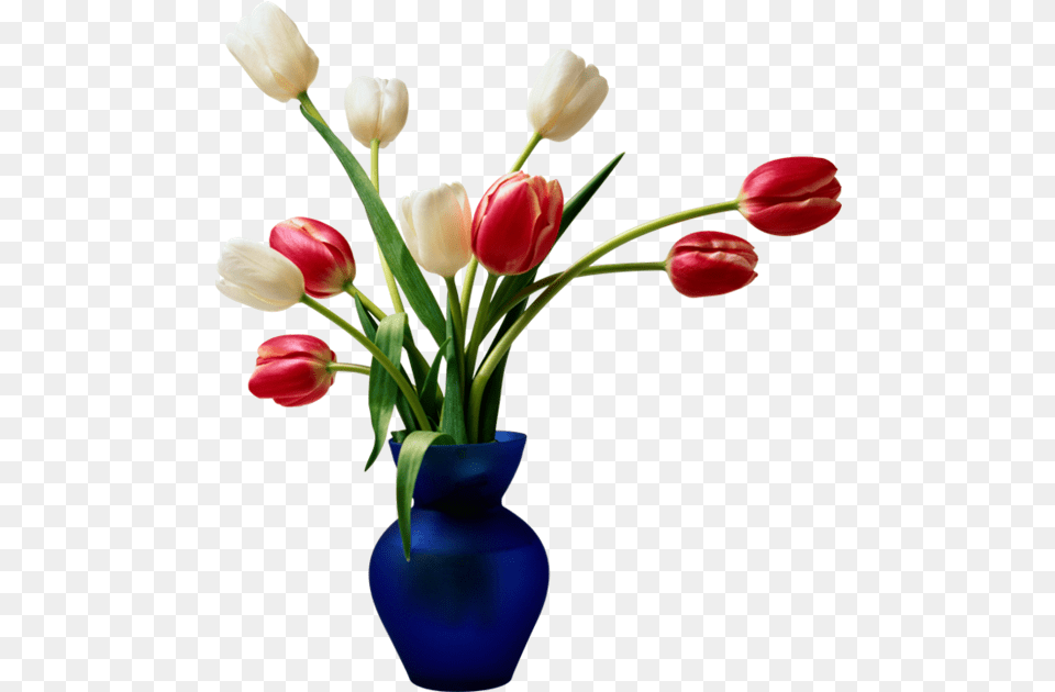 Wedding Dress Desktop Wallpaper Tulip Flower, Flower Arrangement, Flower Bouquet, Jar, Plant Png