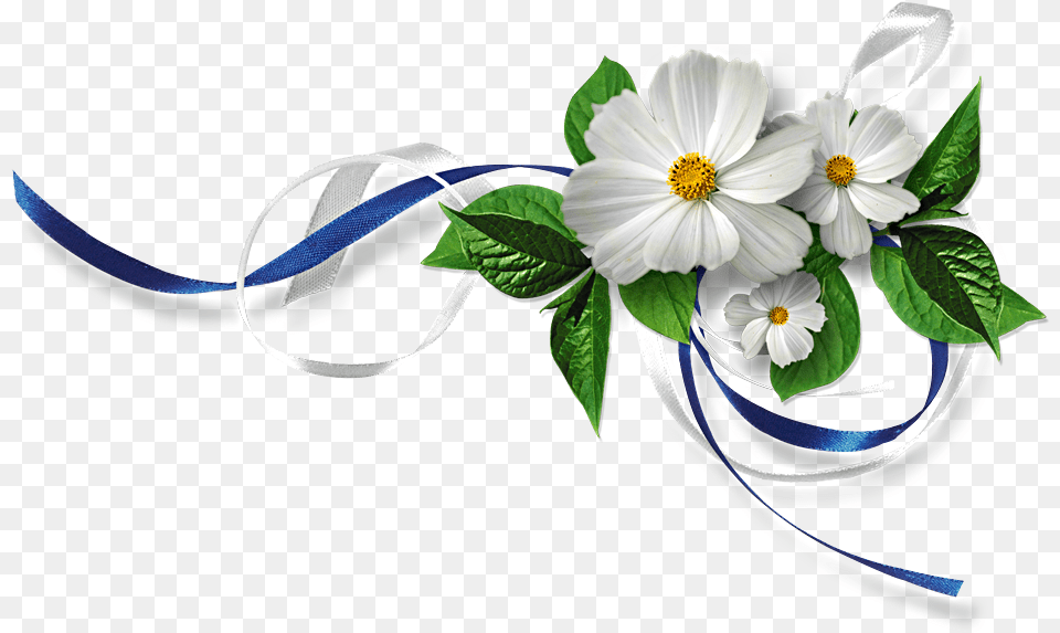 Wedding Flower Icon, Plant, Flower Bouquet, Flower Arrangement, Daisy Png Image