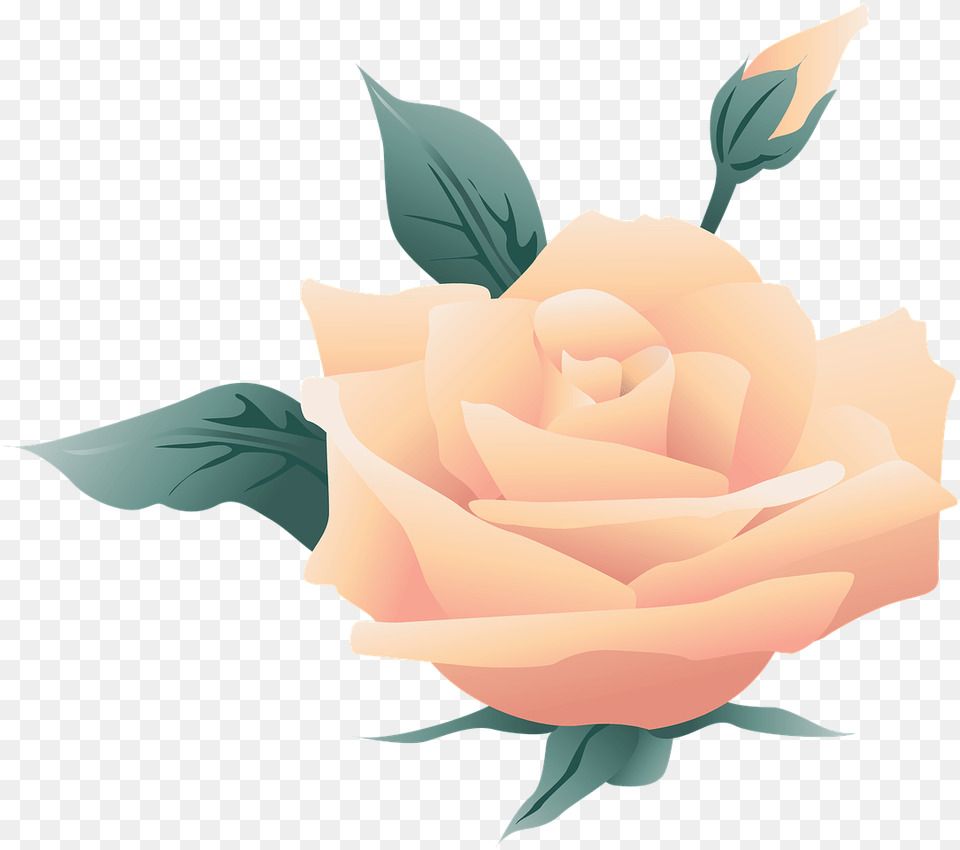 Wedding Flower Symbol Rose Nature Floral Blog, Plant, Petal Free Png Download