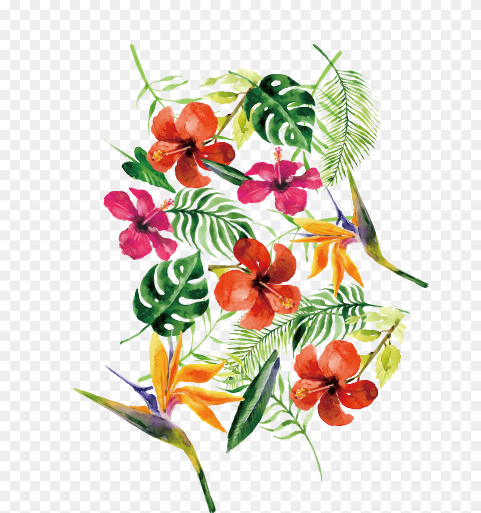 Wedding Flowers, Art, Plant, Pattern, Graphics Free Png Download