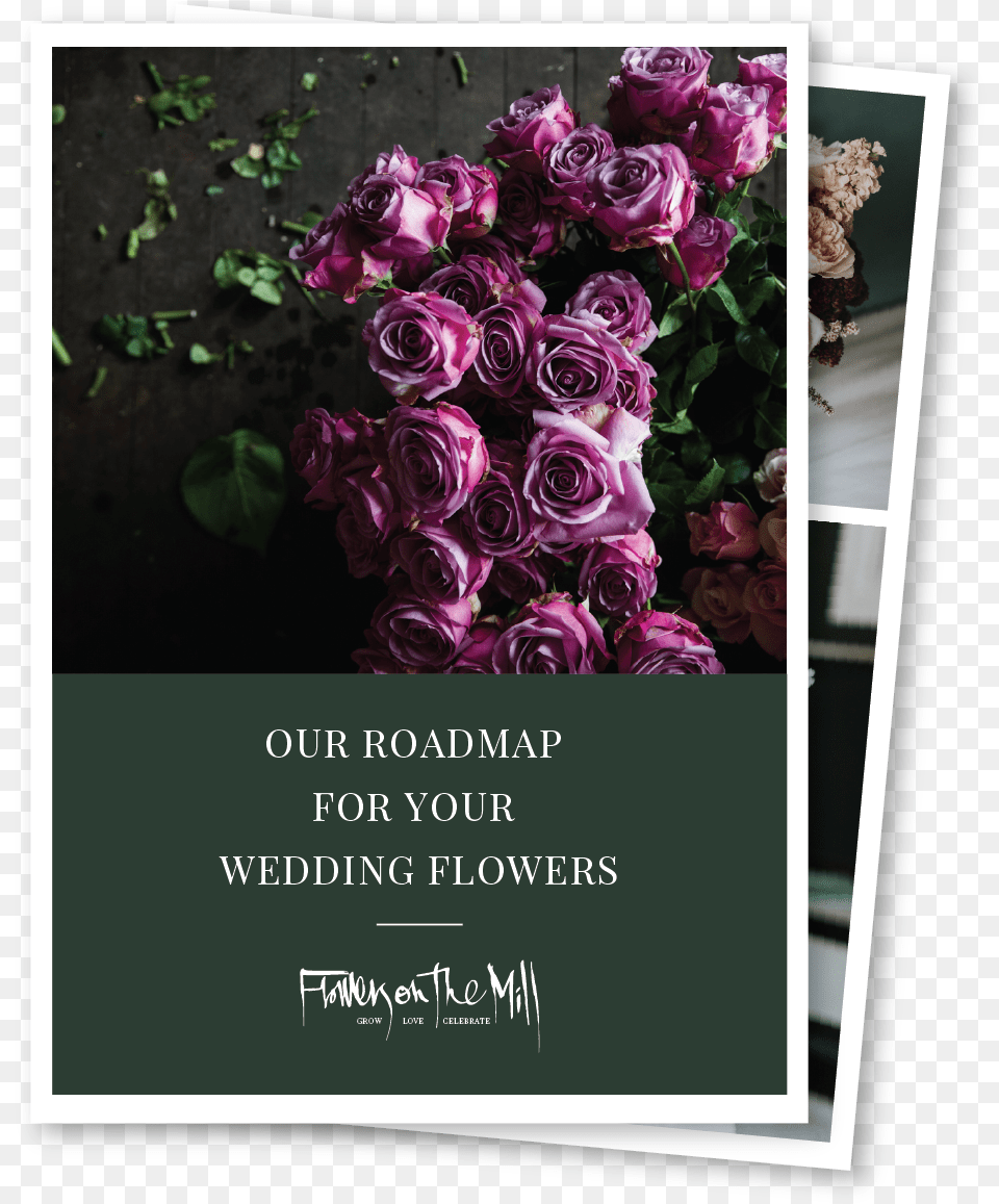 Wedding Flowers Floribunda, Flower, Flower Arrangement, Flower Bouquet, Plant Free Png Download