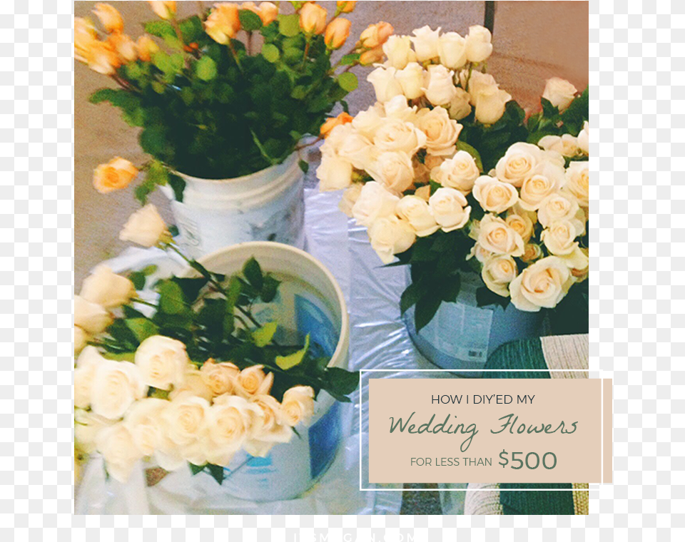 Wedding Flowers In Buckets Garden Roses, Art, Floral Design, Flower, Flower Arrangement Png