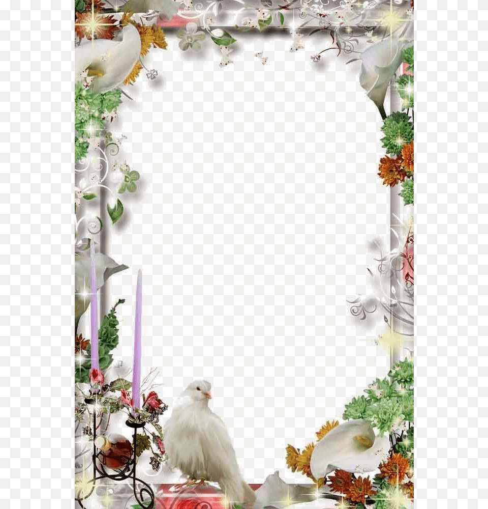 Wedding Frame, Animal, Art, Bird, Floral Design Png