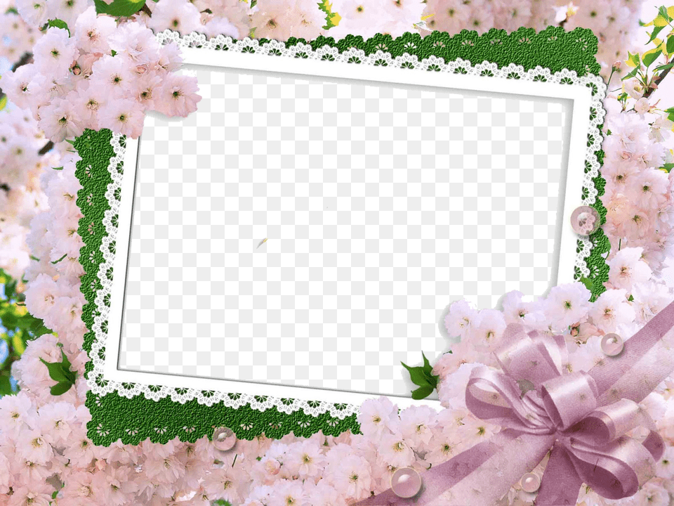 Wedding Frame Background, Flower, Plant, White Board, Petal Png Image