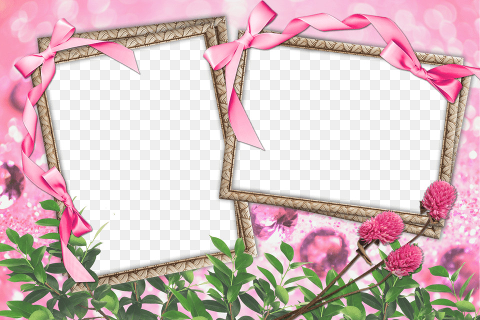 Wedding Frames For Free On Mbtskoudsalg S And M Letter, Dahlia, Flower, Plant, Person Png