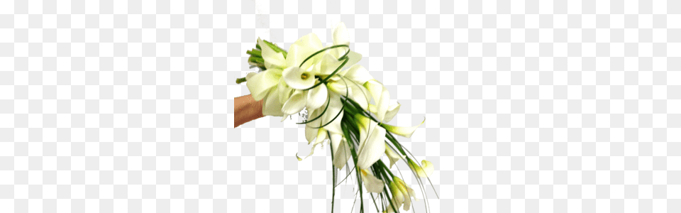 Wedding Gails Floral Studio, Anther, Flower, Flower Arrangement, Flower Bouquet Png Image
