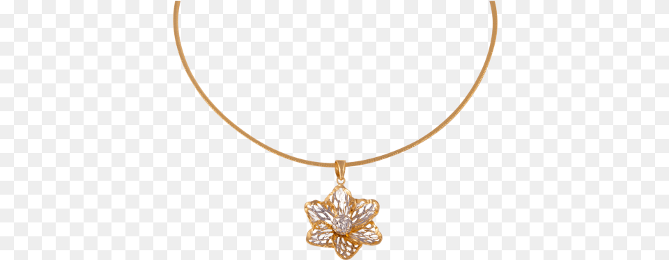 Wedding Gold Necklaces For Sri Lankan Brides Gold Jewellery Designs Sri Lanka, Accessories, Jewelry, Necklace, Pendant Png Image