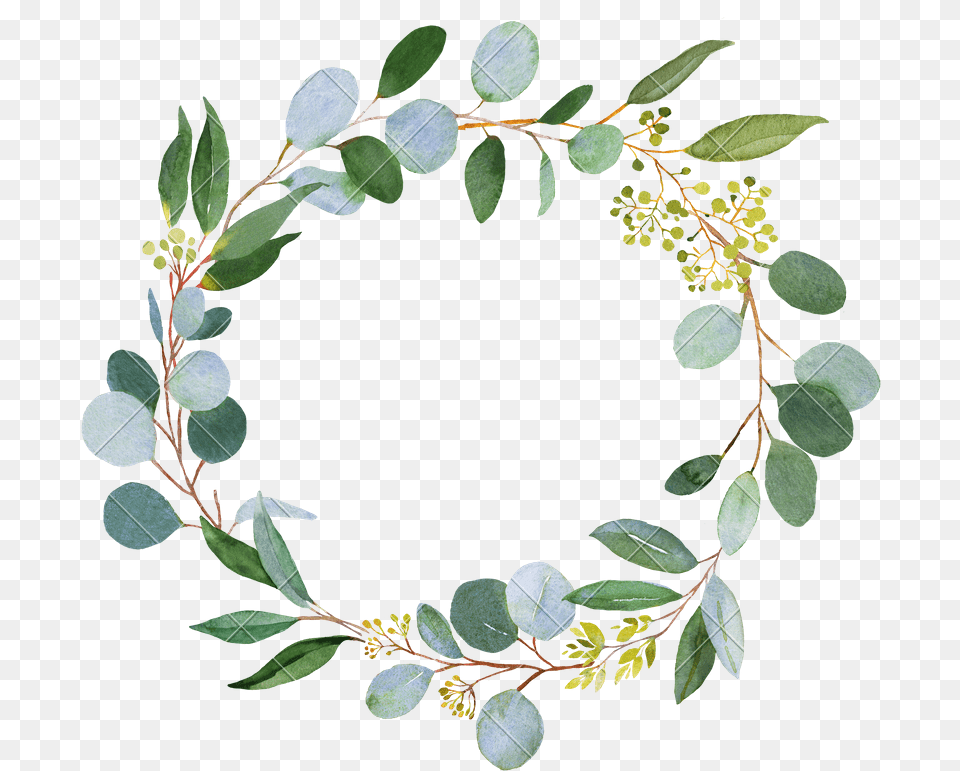 Wedding Greenery Wreath Watercolor Greenery Wreath, Leaf, Plant, Annonaceae, Tree Free Png