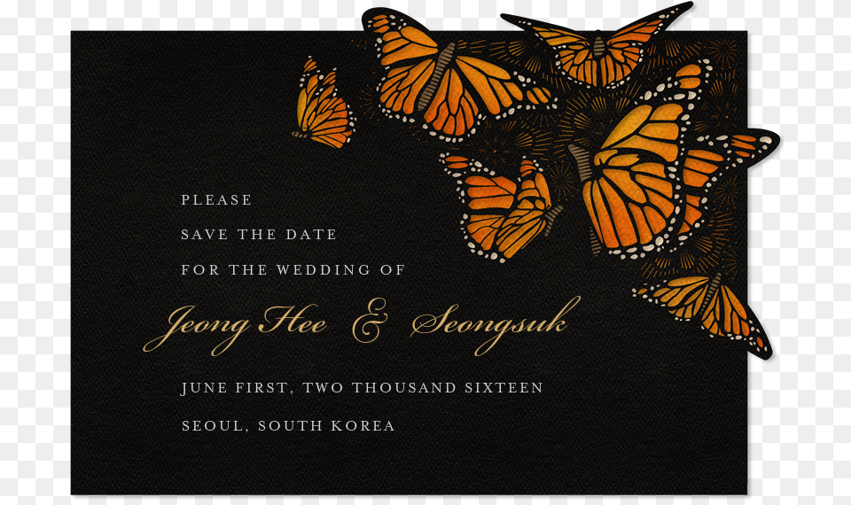Wedding Invitation, Animal, Butterfly, Insect, Invertebrate Free Transparent Png