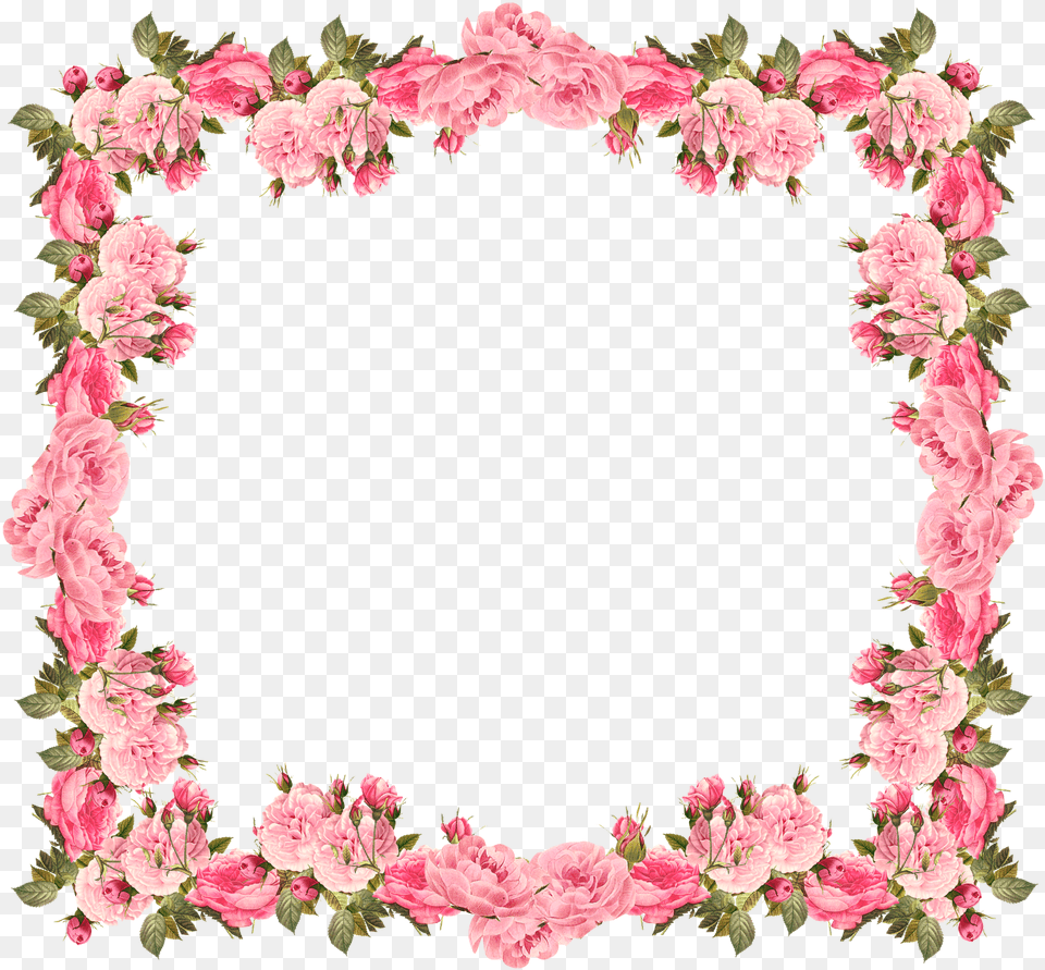 Wedding Invitation Baby Shower Flower Border Design, Plant, Art, Floral Design, Graphics Free Png