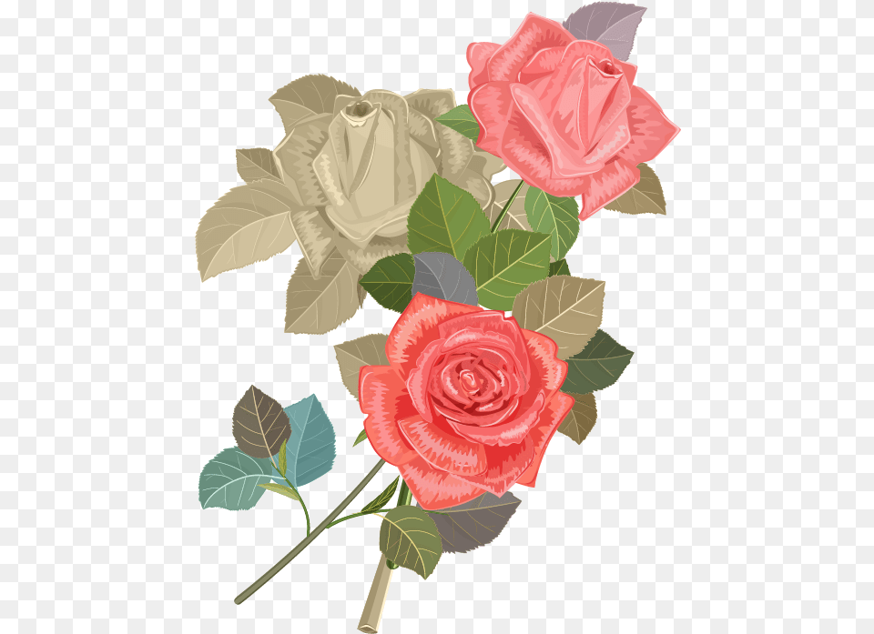 Wedding Invitation Beach Rose Flower Euclidean Vector Invitation Cards Rose Flower, Plant, Leaf Free Png Download