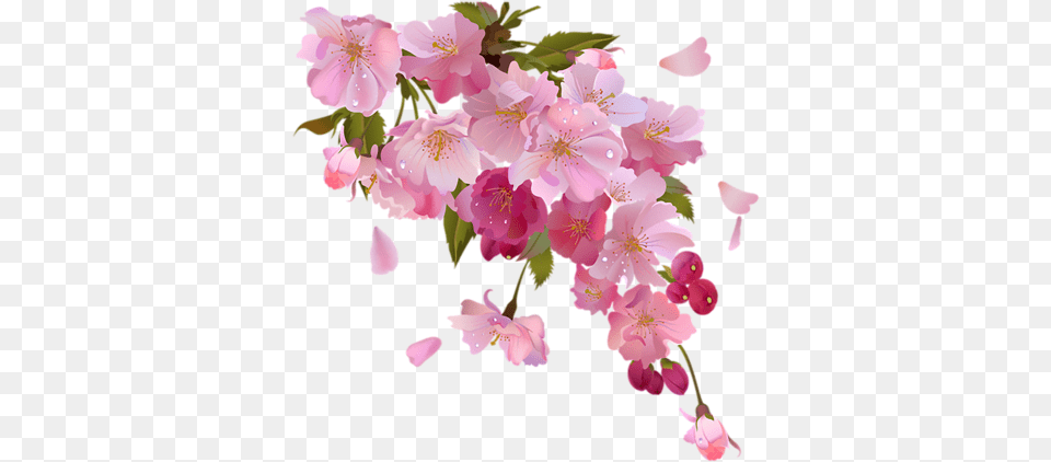 Wedding Invitation Pink Flowers Pastel Flowers Transparent Background, Flower, Petal, Plant, Cherry Blossom Free Png Download