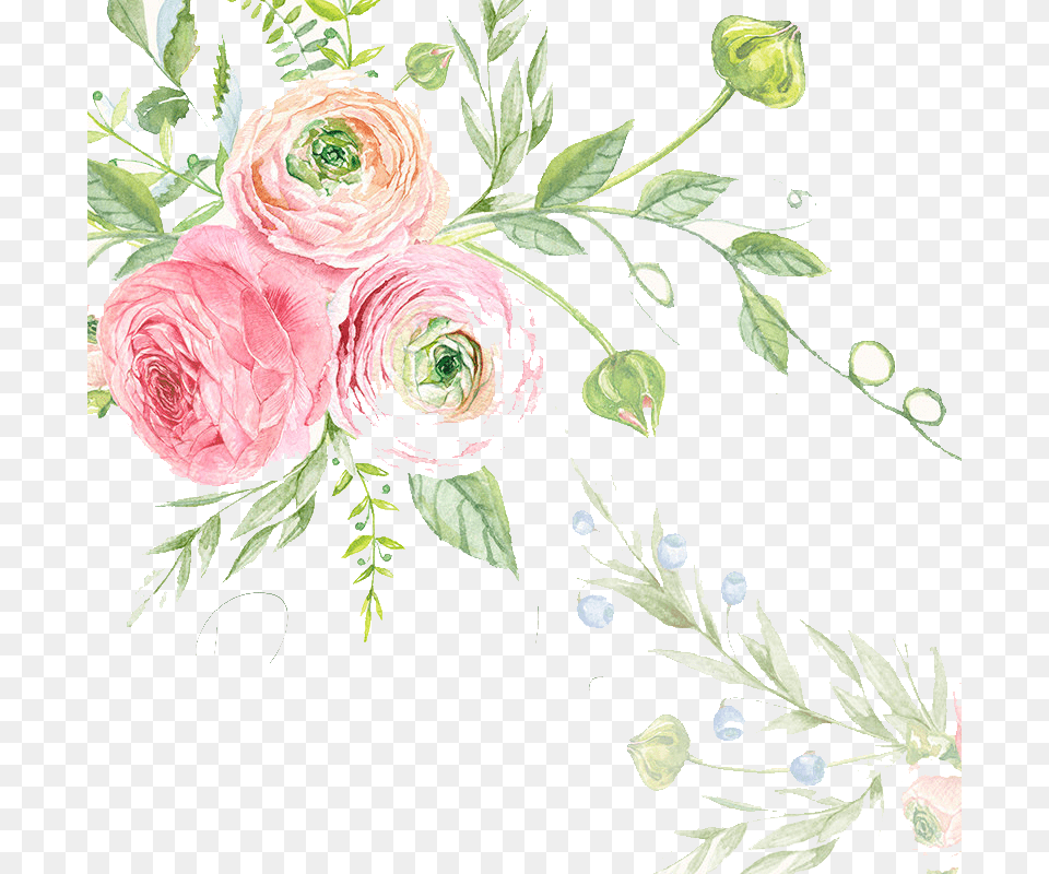 Wedding Invitation Watercolor Painting Drawing Flower Rose, Art, Floral Design, Graphics, Pattern Free Png Download