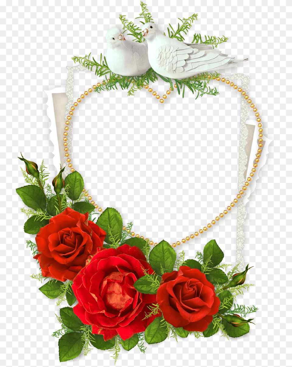 Wedding Photo Frame, Rose, Plant, Flower, Flower Arrangement Png