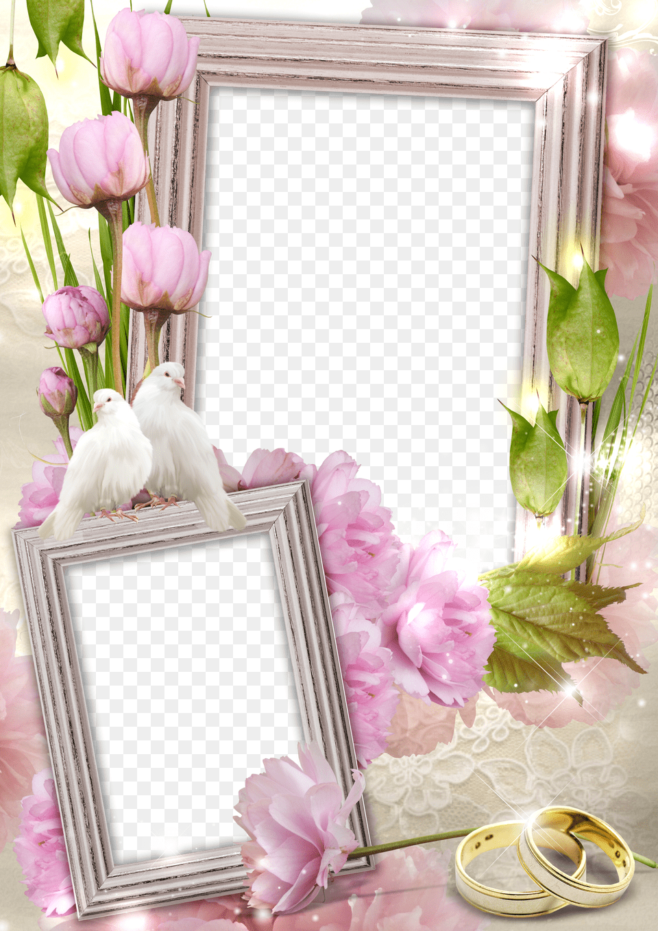 Wedding Photo Frames, Leaf, Plant, First Aid, Logo Png