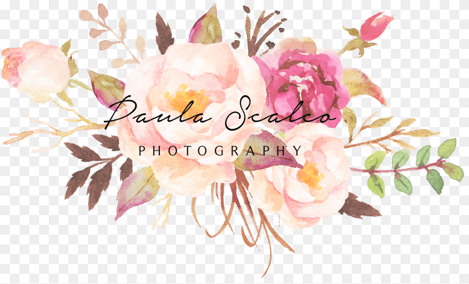 Wedding Photographer Burgundy Watercolor Flowers Transparent Watercolor Flower Bouquet, Art, Pattern, Graphics, Floral Design Png Image