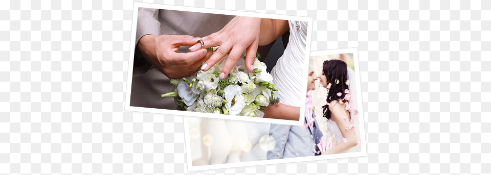Wedding Receptions Einfach Elegante Kalligraphie Hochzeits Postkarte Postkarte, Flower Arrangement, Finger, Flower Bouquet, Hand Png