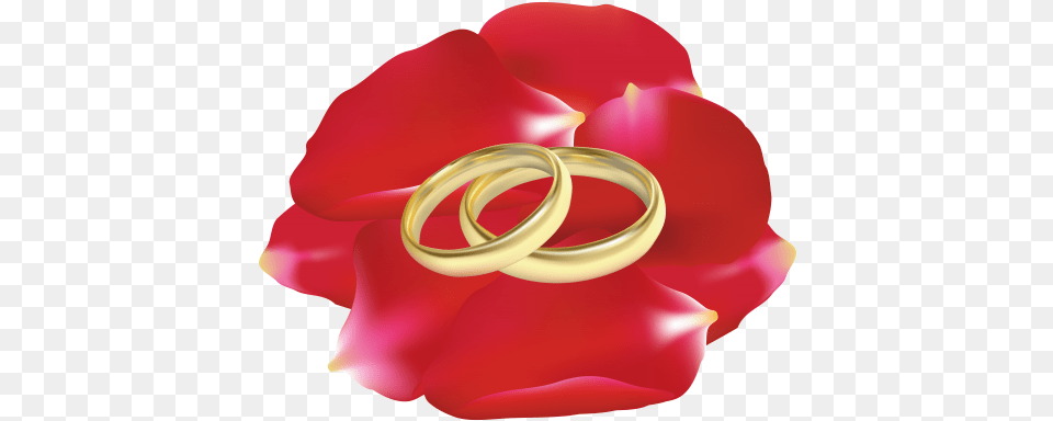Wedding Rings In Rose Petals Clip Wedding Rings In Rose Flower, Accessories, Jewelry, Petal, Plant Png Image