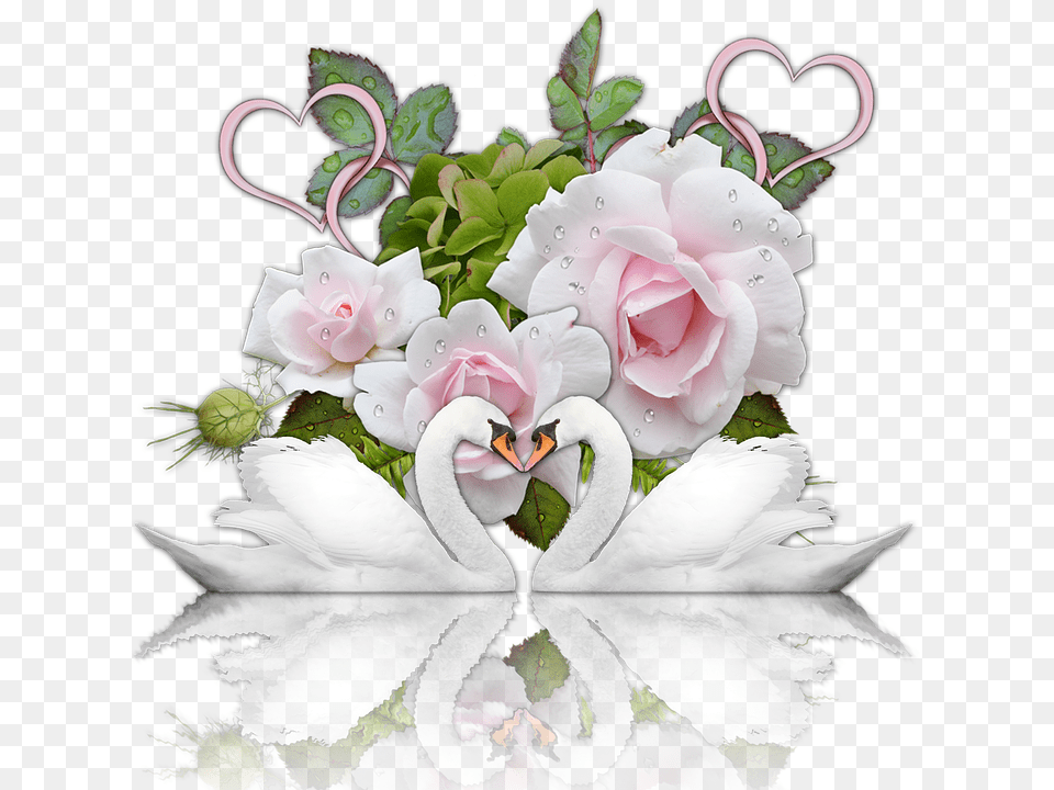 Wedding Romance Heart Swans Roses Scrapbooking Wedding, Rose, Plant, Flower Bouquet, Flower Arrangement Png Image