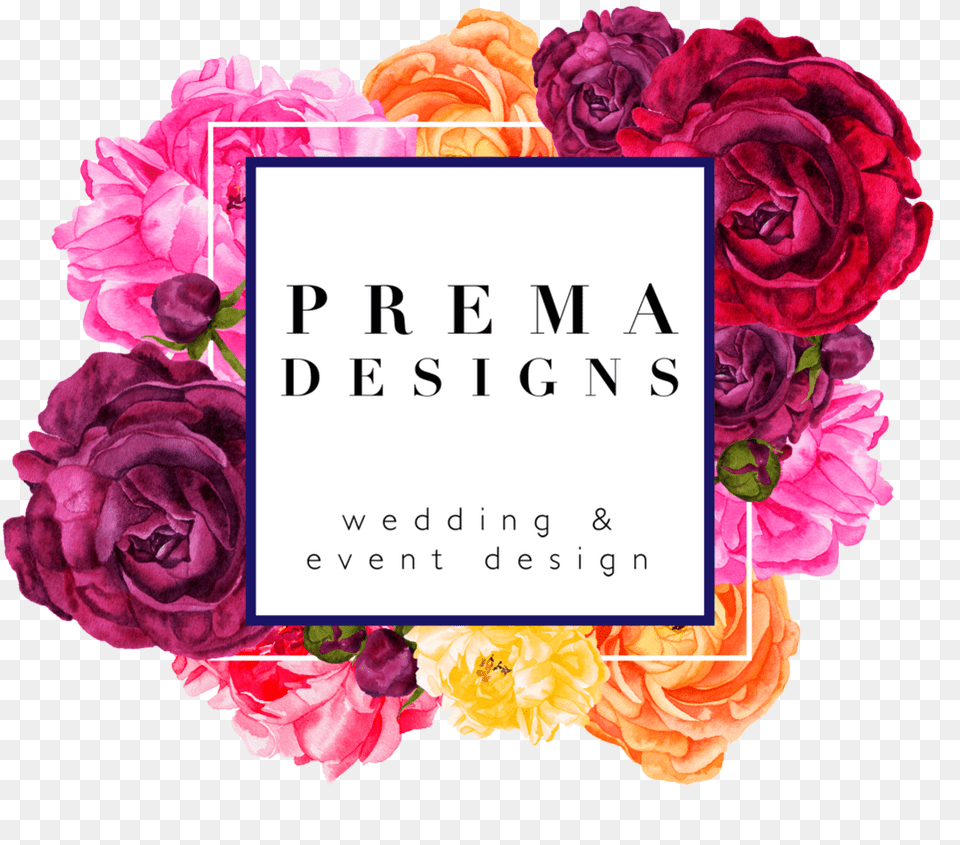 Wedding Rose Flower Download Prema Designs, Plant, Graphics, Art, Petal Png